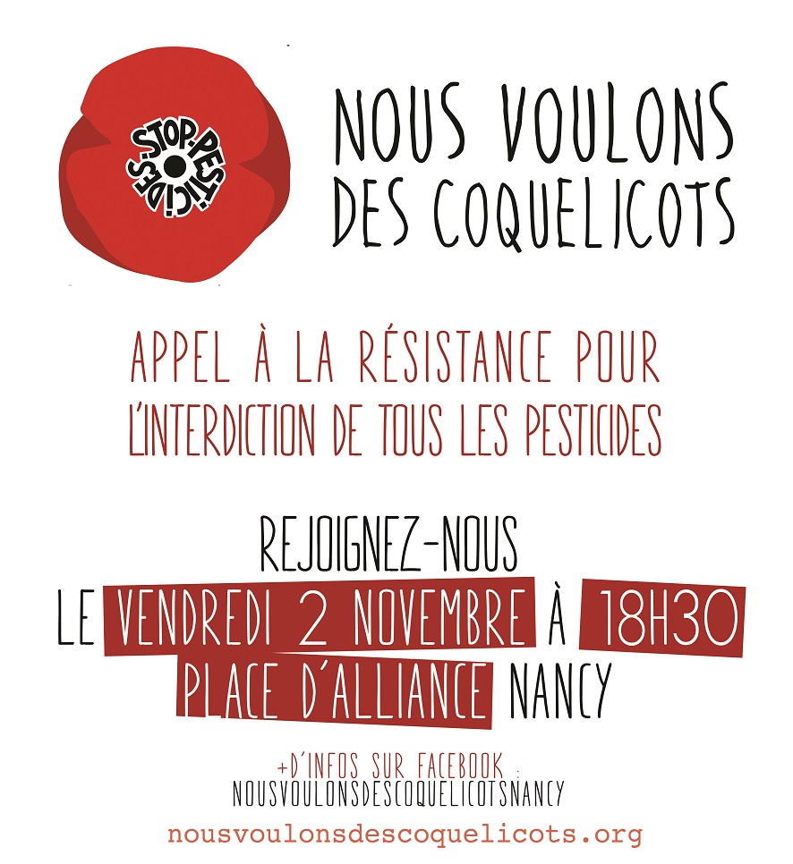 Affiche Coquelicots 1