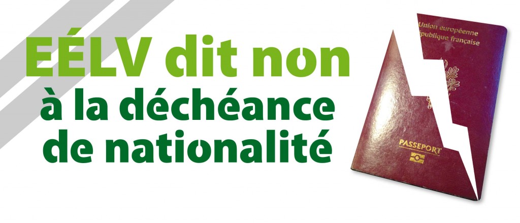Bandeau1 Decheance 300x700 1024x439