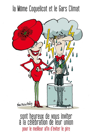 coquelicot